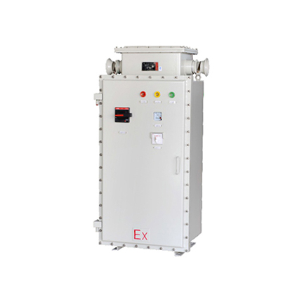 BQXB防爆變頻器 (IIB、 tD)